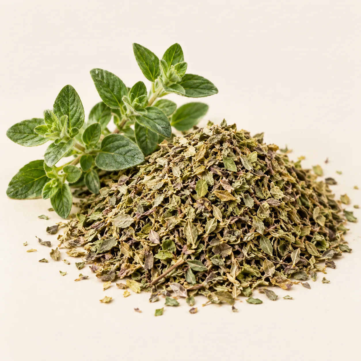 Illustrative dried Oregano leaves beside a fresh sprig